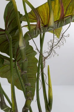 KARE Design Tekokasvit*Taro Tekokasvi 180cm