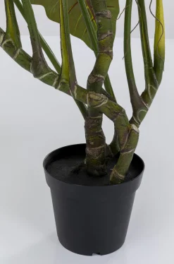 KARE Design Tekokasvit*Taro Tekokasvi 180cm