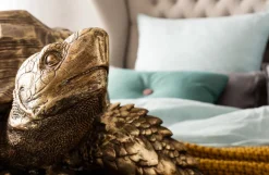 KARE Design Jalalliset Koriste-Esineet*Turtle Gold Big Kilpikonna Koriste-esine